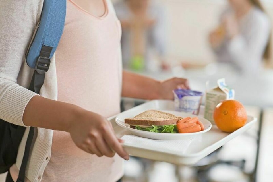 West Holmes Schools’ growing lunch debt has risen to $13,072.33 of unpaid meal expenses. One way to combat that is to have qualified families sign up for free and reduced lunches. WH Schools promotes signing up for free, reduced meals