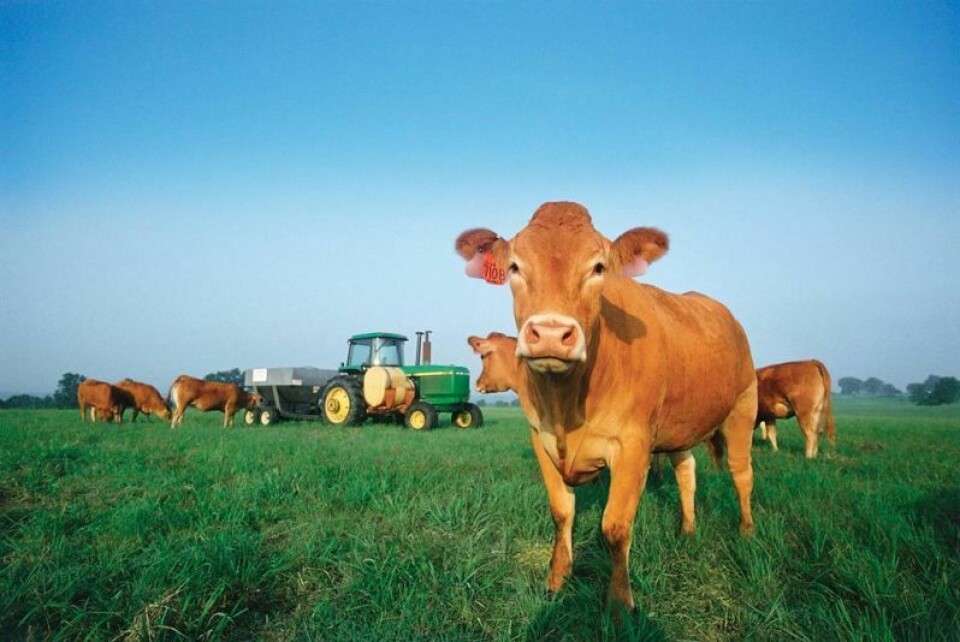 4-H and FFA youth interested in exhibiting a market beef animal at the 2024 Tuscarawas County Fair will need to attend market beef tag-in. Beef DNA sample kits available