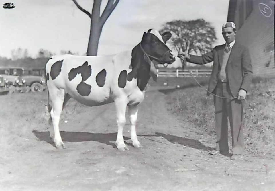 Back in 1929, the Wayne County Fair was celebrating its 80th year. In advance of the fair’s 175th anniversary edition in September, past and present fair directors and their spouses have planned a public celebration on Aug. 17-18 at the fairgrounds, beginning with a parade through Wooster and including fair favorites like a Lerch’s Donut eating contest, pedal tractor pull, pie and bread baking contests for youth and adults, and much more.. Wayne County Fair celebrating 175th year in August