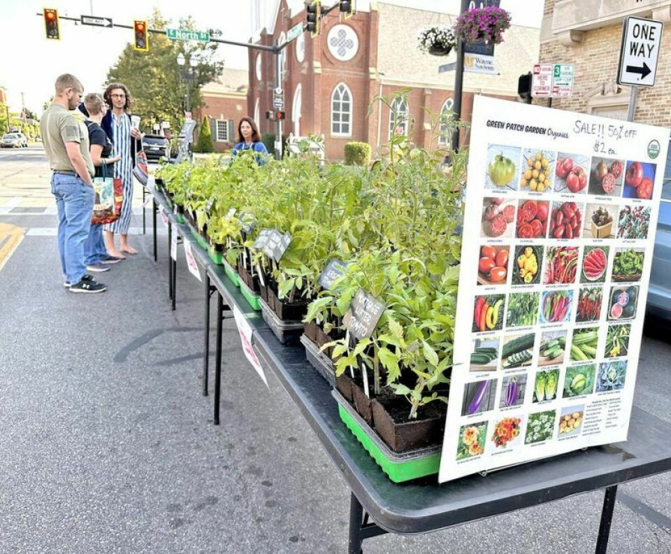 Organic plants like these from Green Patch Garden Organics are a small sample of what the Downtown Wooster Farmers Market has to offer. The market will open May 18 and run every Saturday through Oct. 5 in and around the square. Downtown Wooster Farmers Market set to return bigger than ever