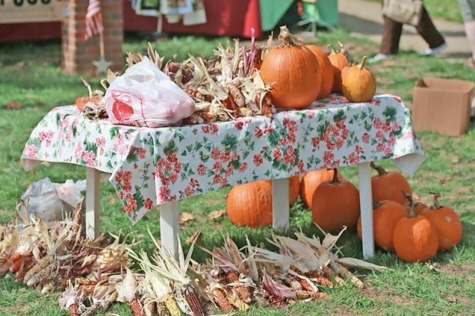 The annual Winesburg Fall Gathering ushers in the autumn season with a flair, presenting an auction, softball tournament, plenty of great food, live music and more. This year’s event will take place Friday and Saturday, Sept. 20-21. Winesburg Fall Gathering set to celebrate its 30th year