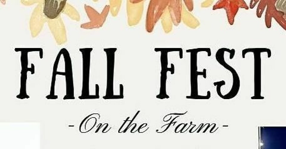 Fall Fest at Brodhaven Farm includes horse-related fun Fall Fest at Brodhaven Farm includes horse-related fun
