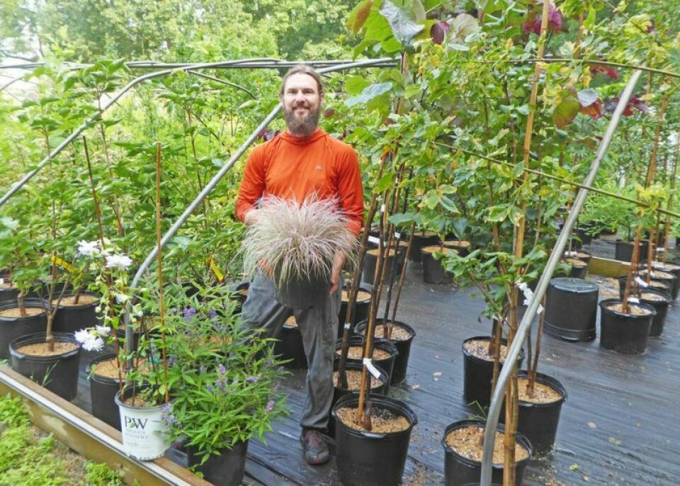 Matt Shultzman is surrounded by many of the trees and shrubs that will be available at the Autumn Discovery Day plant sale on Saturday, Oct. 7 at Secrest Arboretum in Wooster. Autumn Discovery Day plant sale Oct. 7 at Secrest