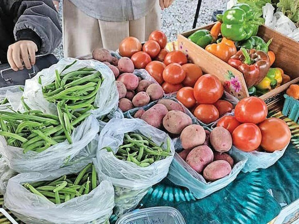 Coshocton Farmers Market will hold its annual vendors meeting on Wednesday, Feb. 21 at 6:30 p.m. at Frontier Power’s community room, 770 S. Second St., Coshocton. Vendors meeting set for the 2024 farmers market