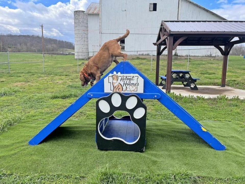 This is one of several new pieces of equipment designed for the new dog playground area at the Holmes County Dog Warden and Adoption Center near Millersburg. New playground will give Holmes dogs room to roam