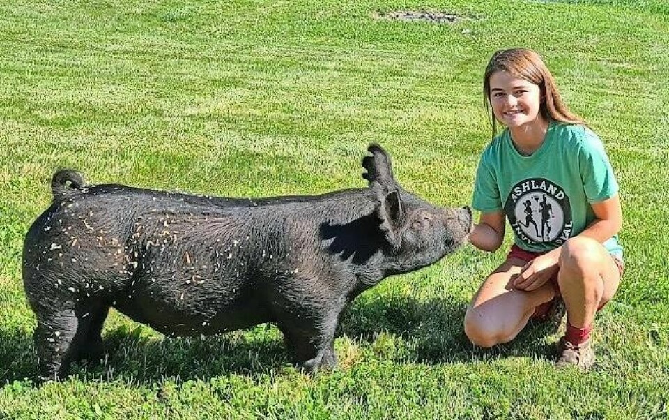 Former West Holmes FFA member Pacee Miller earned her American Degree for her work with her swine, one of seven WHHS graduates to secure that high honor. 7 WH FFA grads receiving American Degrees