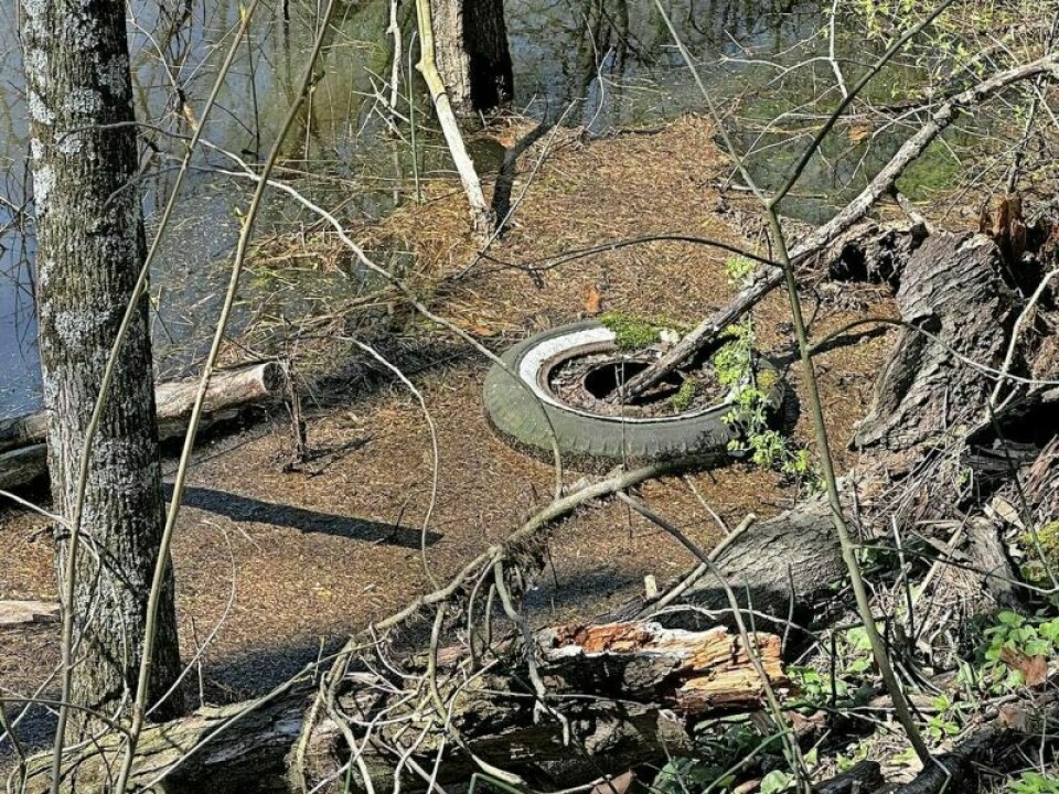 Is this an option for disposing of old tires? It shouldn’t be, and thanks to the upcoming Holmes County Solid Waste District Recycling Day on Saturday, May 4 at Harvest Ridge, it doesn’t have to be. Solid waste that usually can’t be recycled can be brought to the fairgrounds on that day with little or no charge. Holmes Co. Solid Waste to host Recycling Day May 4