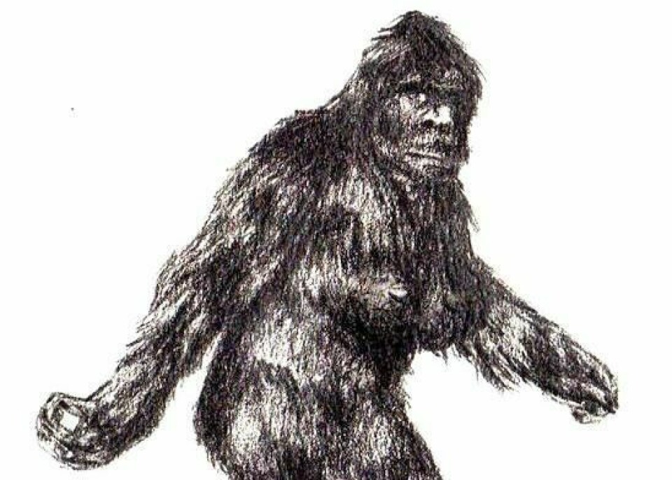 Holmes County’s own professional Bigfoot hunter Gordon Mullet will be part of the Holmes County Historical Society program, Myths and Legends. The program, free and open to the public, will be Oct. 5 at the Millersburg American Legion. HCHS’ Myths and Legends set for Oct. 5