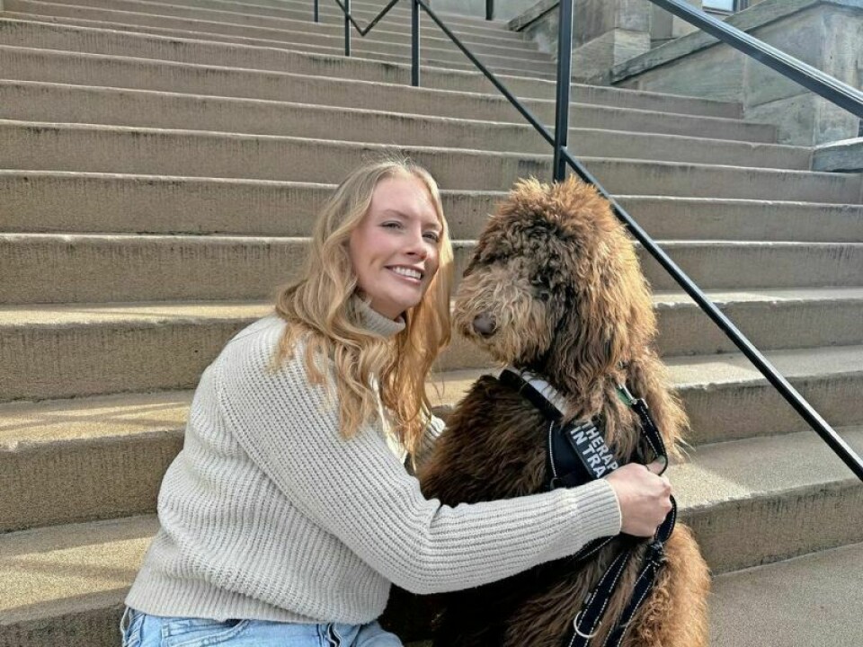 Rachel Cornell, Holmes County probation officer, has partnered with Marlee, a cuddly 40-pound Goldendoodle that has quickly become a big part of the juvenile court's ability to put young people at ease. Marlee makes immediate impact on juveniles in court