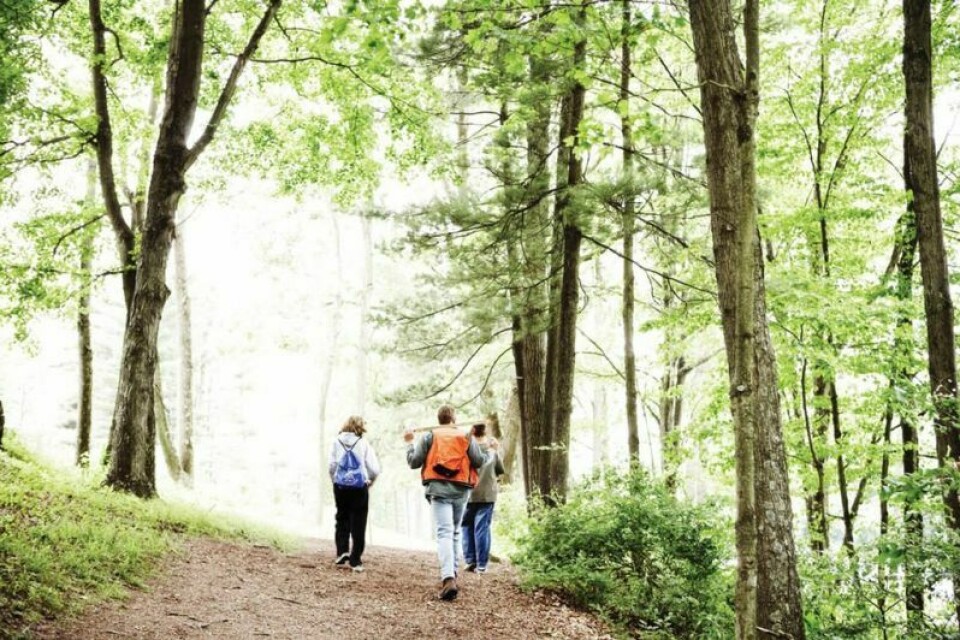 Ohio Forestry Grants available Ohio Forestry Grants available