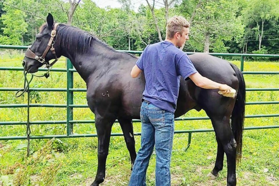 Garrett Houin, who is a graduate of West Holmes High School, raises sheep and horses and competes and works in a rodeo operation. West Holmes FFA teens accomplishing big things