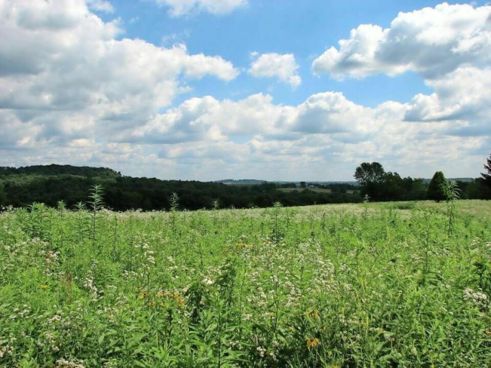 Foxfield Preserve, located at The Wilderness Center in Wilmot, was opened in 2008. It is the first natural burial ground in Ohio and the first in the country to be operated by a conservation organization. Foxfield Preserve to host natural burial discussion