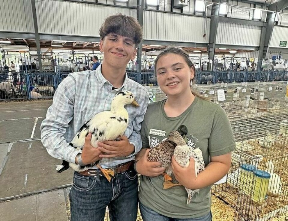 Siblings Mackenzie, right, and Lucas Mast show off just a few of their fair animal projects. The duo raises dozens of animals on their 1-acre homestead they lovingly call their backyard barnyard. Mast siblings are dedicated to their backyard barnyard