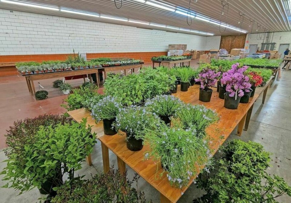 The Wayne County Home & Garden Show will include a plant sale at the Wayne County Fairgrounds. Wayne County Home & Garden Show set for April 27-28