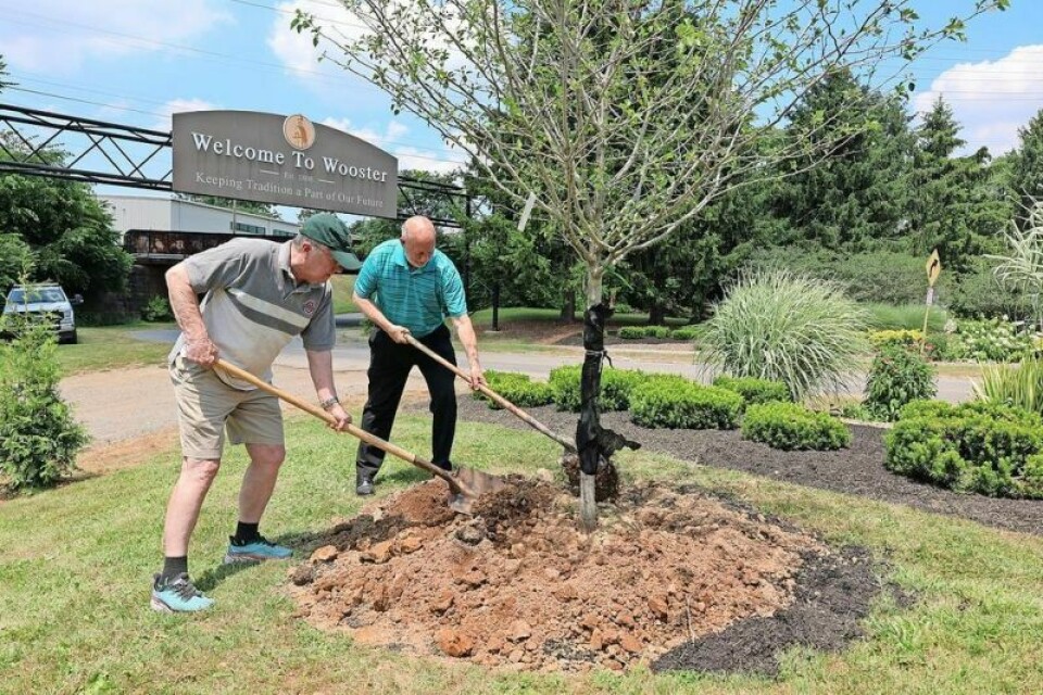 Wooster Mayor Bob Reynolds, right, and Bob Romig, president of the Urban Forestry Commission Board, aided with applying the last layer of top soil to one of the many trees planted at the recent Arbor Day celebration in Wooster. City of Wooster celebrates Arbor Day 2024