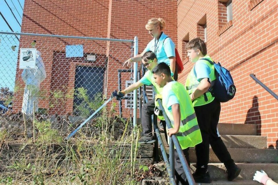 Becky Sedares, a teacher at Tuscarawas Central Catholic Elementary, and members of the Environmental Club pick up trash in the pollinator garden. Pictured are students Miles Marino, left, Anthony Ajanel-Ixocy, and Austin Reiger. Environmental Club picks up Dover and helps insects and plants