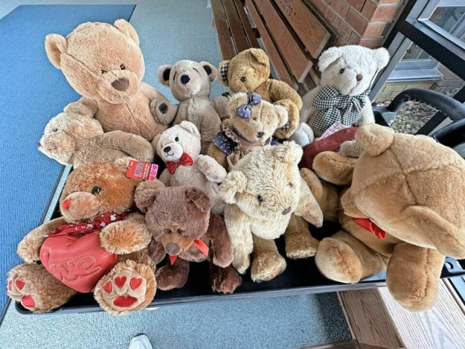 These bears will make a big impression at the Holmes County Board of Developmental Disabilities, thanks to a donation. Stuffed bears put to good use at Holmes Board of DD