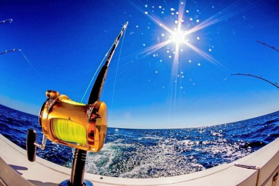 Deep sea fishing and plenty of other outdoor water-based activities will be available to Scouts at the planned High Adventure Florida Sea Base excursion in 2025. Before they get there, the Scouts have some fundraising to do with the upcoming hog roast in Millersburg on May 4. Upcoming hog roast part of Troop 358’s bigger picture