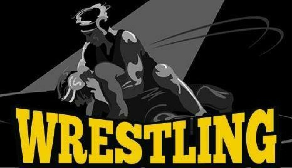 WHS matmen have experience; Titans need numbers WHS matmen have experience; Titans need numbers