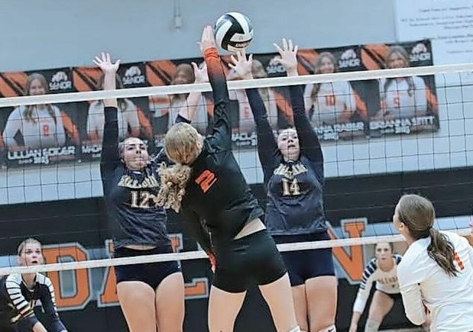 Dalton's Sara Geibel (2) hits over a block in a recent win over Hillsdale. The sophomore outside hitter has been one of the top attackers in the area this fall and is a big reason the Bulldogs entered the week in first place in the Wayne County Athletic League. Bulldogs in control of race for WCAL volleyball