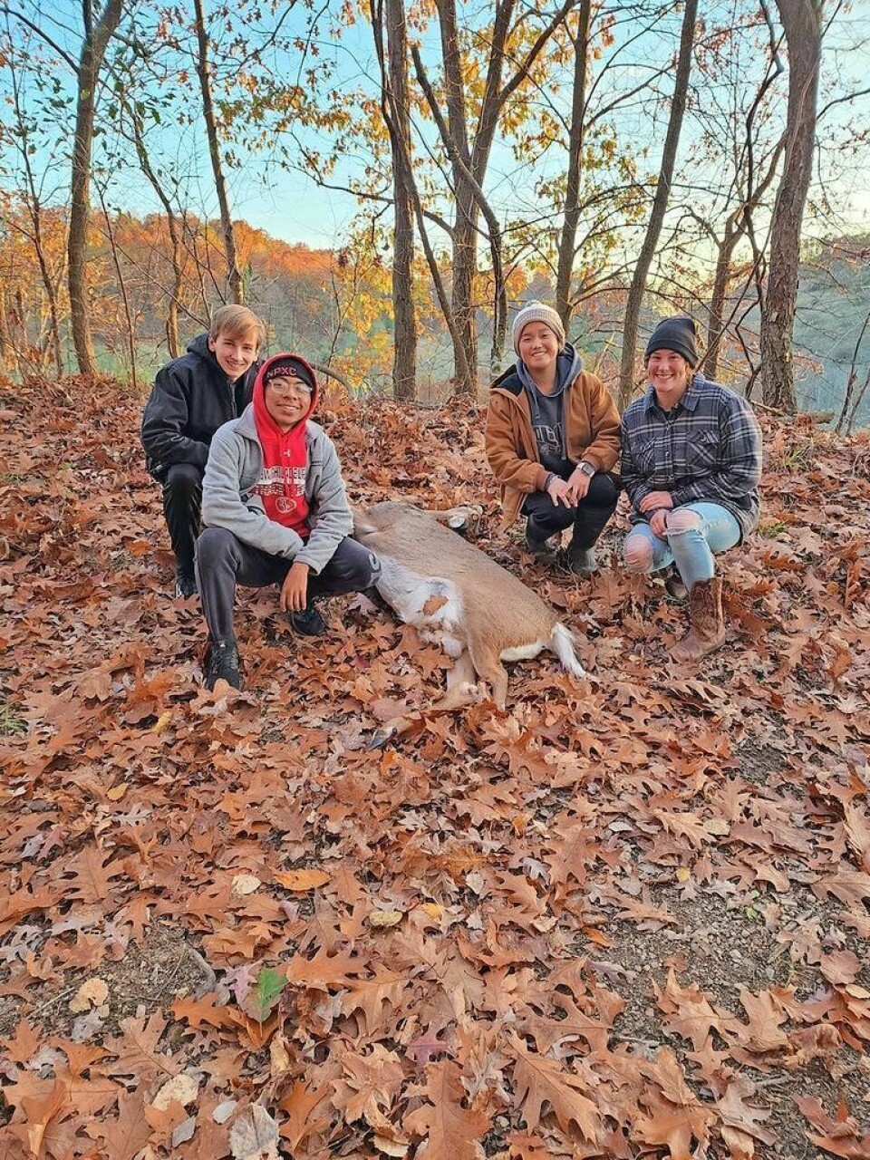 New Philadelphia ecology students pose with a deer carcass they placed in the woods to attract bobcats: Dylan McCahill, left, Jaime Velasquez Ortiz, Annie Bichsel and Hailey Kohler. New Philadelphia High School team performs bobcat study