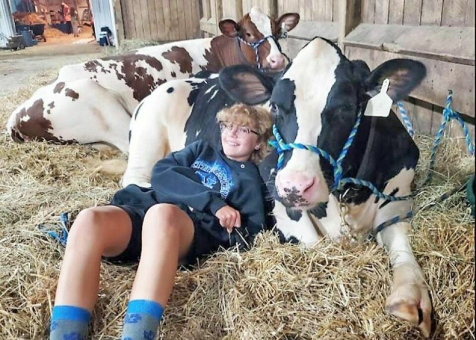 Sarah Wellert, a sophomore at Orrville High and a member of the Bauman Guys and Gals 4-H Club, will show her dairy cows at the 174th edition of the Wayne County Fair. Showing fair animals is a months-long process