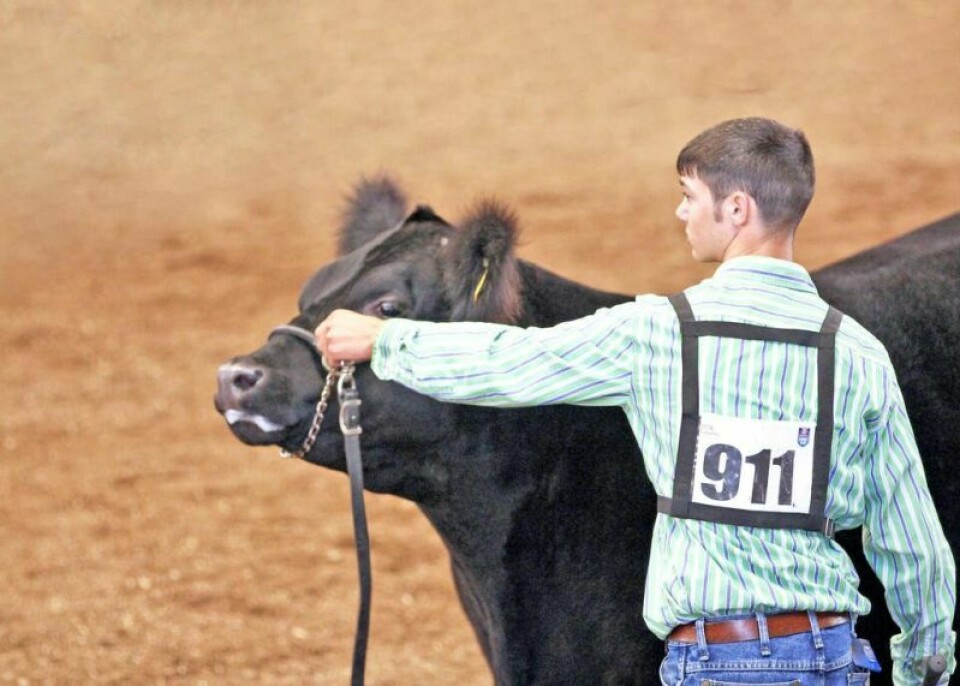 Wayne County Fair secretary Matt Martin said the junior fair is a vital part of why they do what they do. The lessons learned throughout the year in barns and homes are a culmination of a year’s worth of work. 174th Wayne County Fair is Sept. 9-14