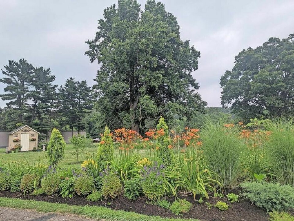 Explore this garden in New Philadelphia that showcases the joys of both an artist’s heart and a gardener’s wonder. Garden Tour to benefit the Friends of the Library