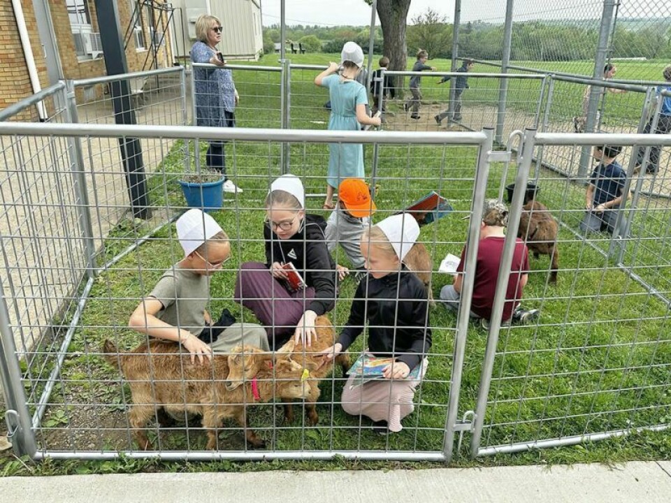 One by one classes at Chestnut Ridge Elementary were invited to come outside and enjoy the company of four goats. The goats were instrumental in Right to Read Week because area businesses and organizations donated money for every page read, money that will go to purchase goats to send to countries around the world through The Reckoning International. Chestnut Ridge doubles down on Right to Read Week