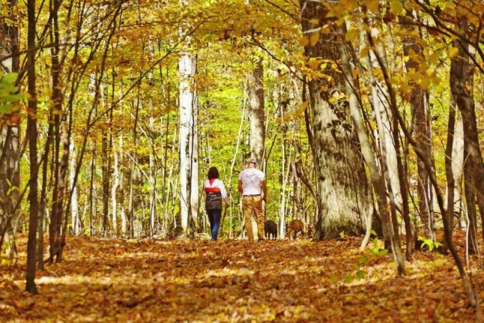 What lies ahead on the path of life? For many, that question can be daunting, but Love In the Name of Christ will offer several Fresh Start classes this winter designed to provide faith-based answers through the themed “Pathway To Living an Abundant Life” series. Fresh Start classes focus on a path to an abundant life