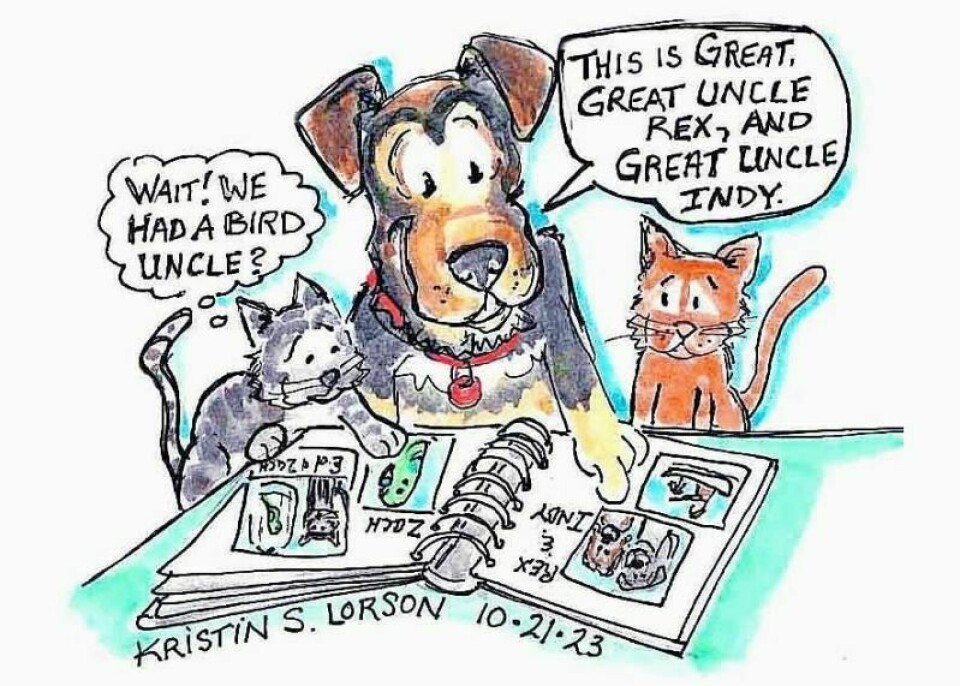 Fond memories of a meager mutt and his big moment Fond memories of a meager mutt and his big moment