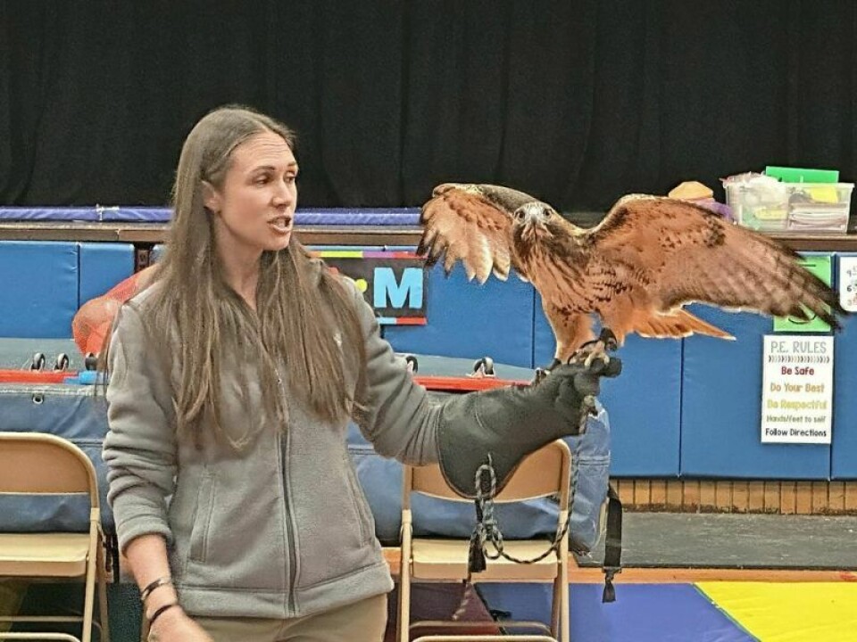 Abby Bramlage of the Ohio Bird Sanctuary in Mansfield paid a visit to the fourth-grade students at Killbuck Elementary on Thursday, May 16 and was joined by Maverick, a red-tailed hawk. Ohio Bird Sanctuary pays fun visit to Killbuck Elementary