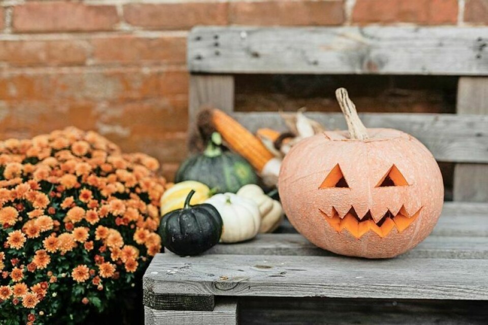 On Oct. 16 celebrate the spooky season with games, food and more. Memory Café programs are offered