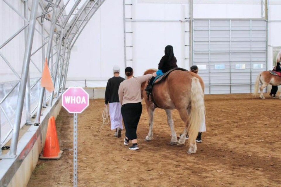 Hearts & Hoofbeats volunteers guide a horse and child through an indoor walk inside the ministry's hoop building. Healing with horses: Hearts & Hoofbeats continues equine therapy