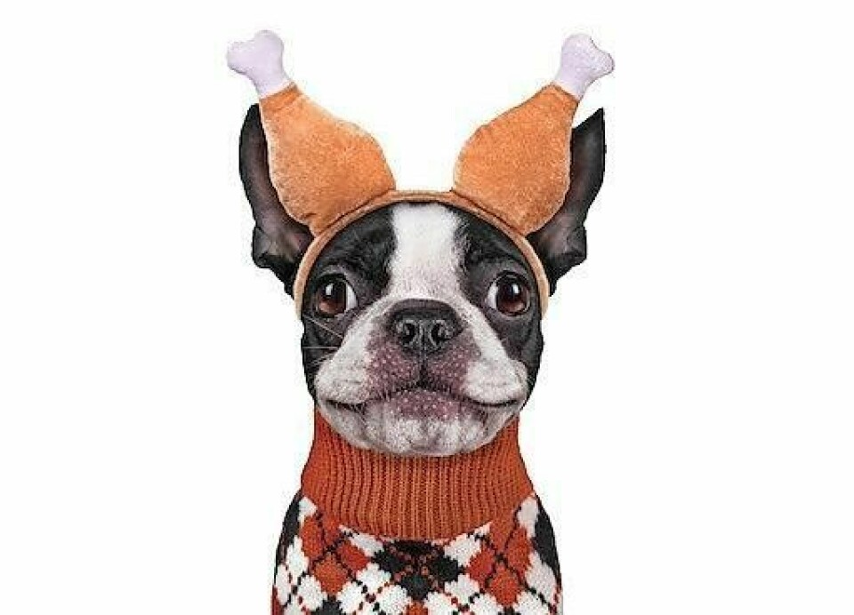 This race welcomes everyone including serious runners, walkers, strollers and pets. 5k race takes place on Thanksgiving