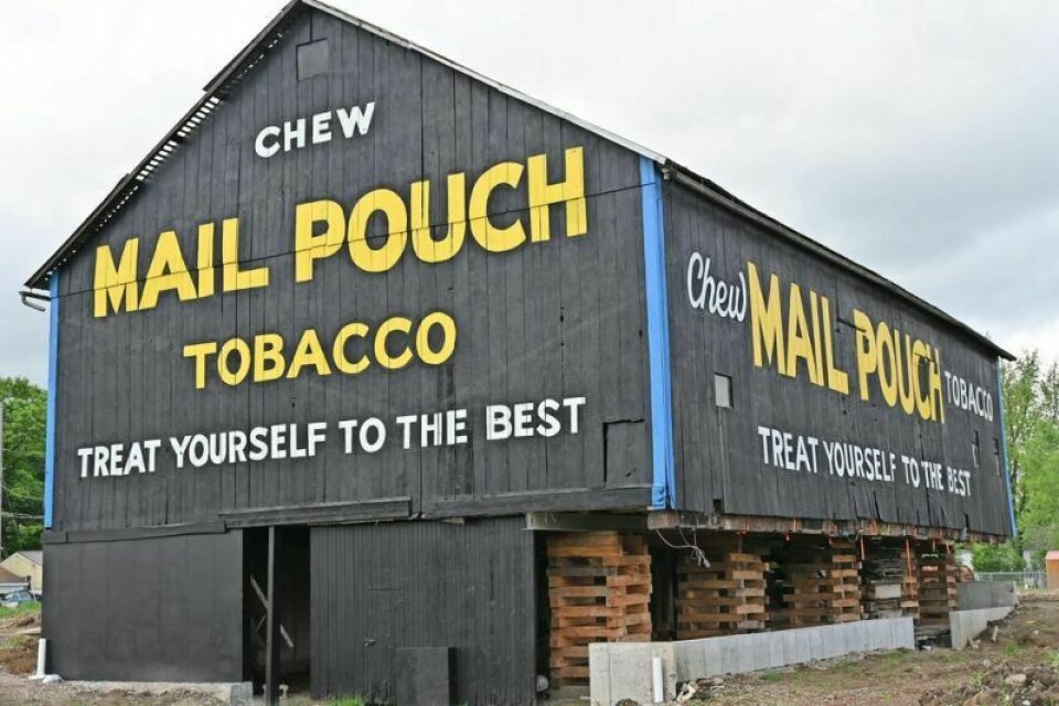 This barn east of Dalton had its lettering restored and refreshed by late muralist Ruston Claude Baker. Farmers received either product or money for allowing Mail Pouch to use their barns for advertising. Learn about barns, barn surveys at free March 1 event