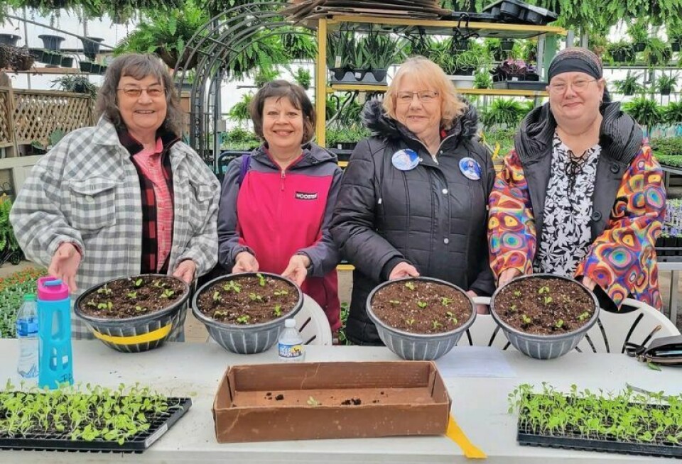 In the Orrville YMCA’s Senior Actively Aging Social Activities program, seniors age 55 and older are invited to eat lunch and take a trip with the Y such as a trip the group made last year to Buchwalter’s Greenhouse. Winter activities for all available at Orrville YMCA
