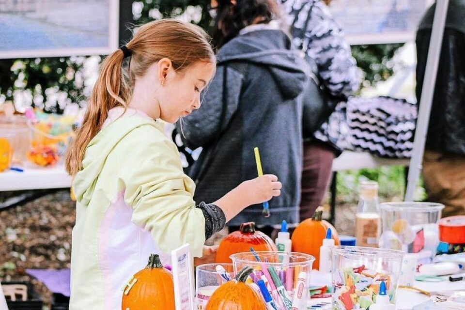 Examples of a project and program that might find funding via the grant include community art projects open to public participation. Grant available for arts, culture and creative projects