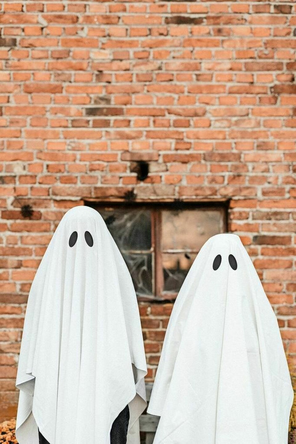 The Halloween-themed race will take runners and walkers on a course that features dirt roads, cemetery paths and city streets. Knights of Columbus Ghost Chase registration now open