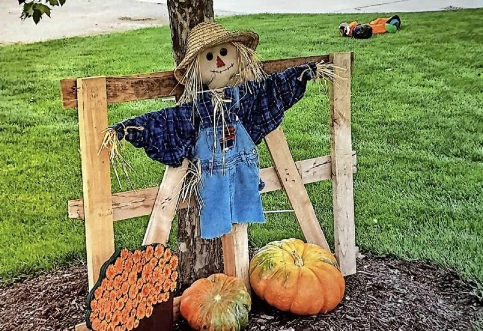 Harvest Glow at Harvest Ridge is dedicated to local farmers and the community at large and is a celebration of fall. The evening will feature fall decor, live music, great food, plenty for the kids and more. Harvest Glow to celebrate local farmers, community