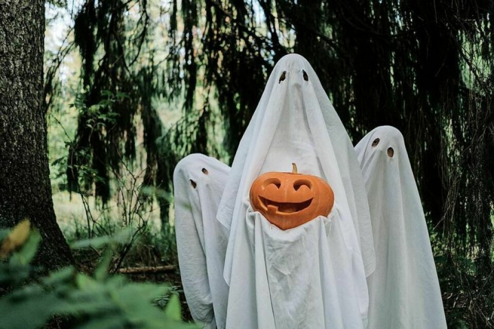 Dress in your favorite costume and enjoy treats, tricks and other fun activities along the trail. Trick or Treat on the Trail set