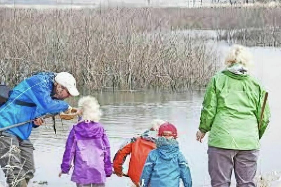 The 2024 Shreve Migration Sensation, an annual birding event within the more than 5,000 acres of the Killbuck Marsh Wildlife Area and Funk Bottoms, will be held Saturday, March 9. Shreve Migration Sensation is March 9