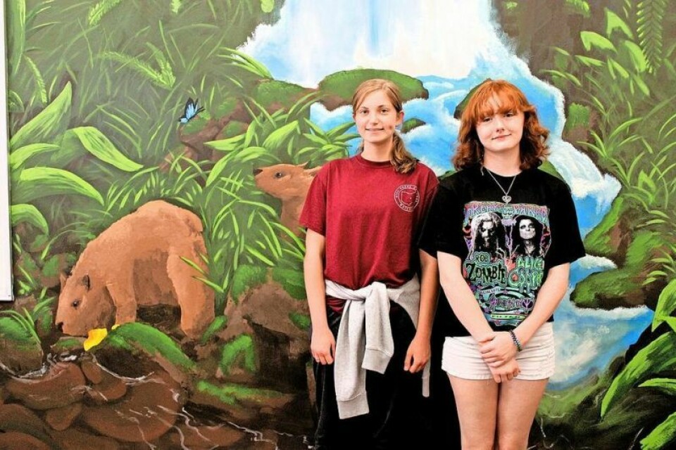 Sage Rogovin, left, and Emilie Hutton in front of the mural Rogovin designed and both girls helped paint. Students paint rainforest mural in classroom