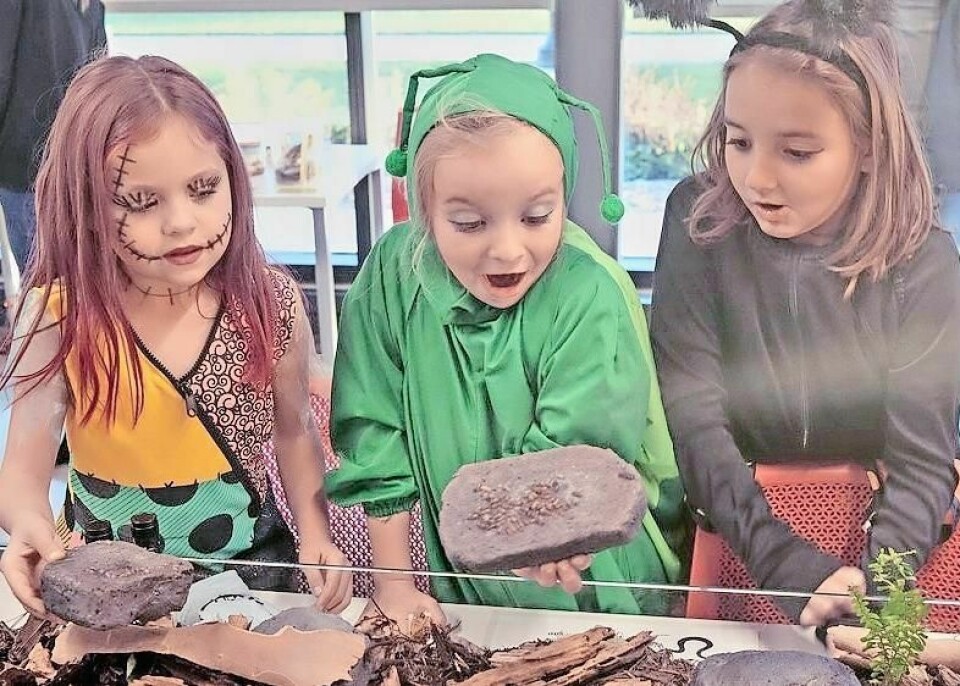 The Pumpkins & Pillbugs Halloween Bug Zoo Bash will take place Friday, Oct. 27 from 6-8 p.m. at the Wooster campus of Ohio State, 1680 Madison Ave. Halloween Bug Zoo Bash is Oct. 27 at OSU Wooster