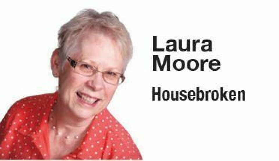 A conflict between house and human A conflict between house and human