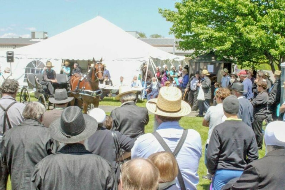 The 46th annual Spring Benefit Auction & Festival will take place at the Holmes County Board of Developmental Disabilities facility May 10-11, with all proceeds benefiting Holmes County courtesy of the Holmes County Association for Handicapped Citizens. Festivities, food, fun the focus of HCAHC Spring Festival