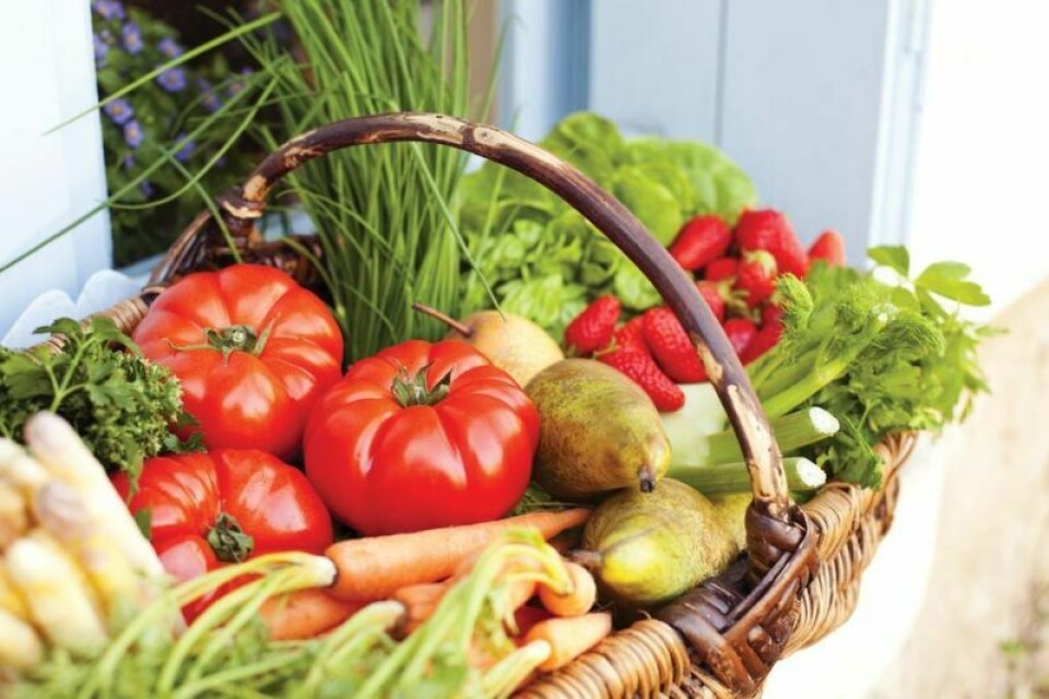 The market participates in several programs that assist qualifying individuals with the cost of purchasing fresh produce at the market including SNAP/Ohio Direction Card, Produce Perks, the Senior Farmers Market Nutrition Program, P-EBT and WIC. Farmers market hosts Customer Appreciation Day