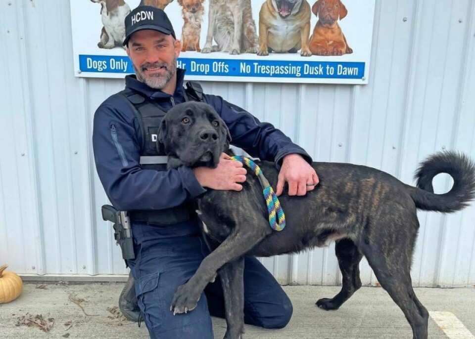 The annual dog registration, required by the State of Ohio, began Dec. 1 and is running through the end of January. Dog tag sales underway in Holmes County