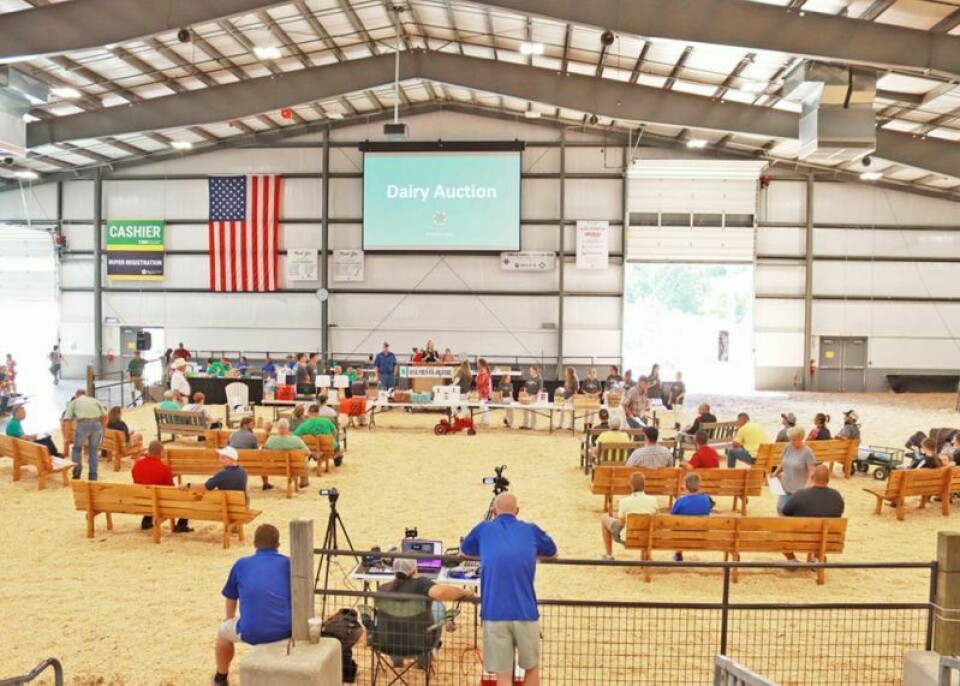 From noon to night, the Holmes County Fair, which will celebrate its 100th anniversary Aug. 7-12, will feature plenty of activities and things to see and do, and all tickets for everything from the grandstand events to rides and more are available online at www.harvestridgeohio.com/holmes-county-fair/. Easy entry awaits those who attend Holmes Co. Fair