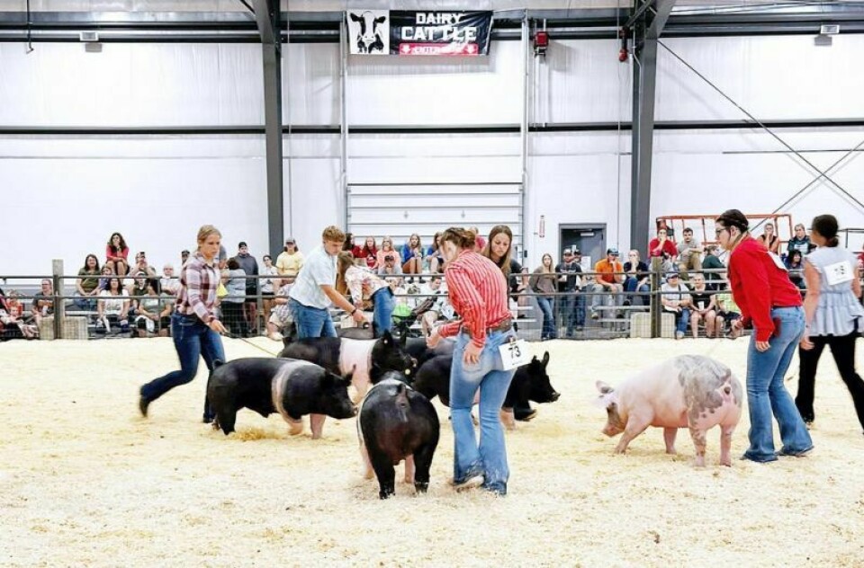 This year’s Holmes County Junior Fair Sale saw a breakthrough year of purchasing from buyers at the auction. For the first time ever, the total sales soared past $1 million. Holmes County rejoices in $1 million mark at fair sale